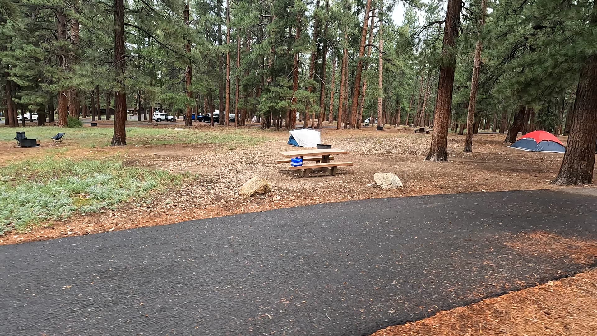 Site 64