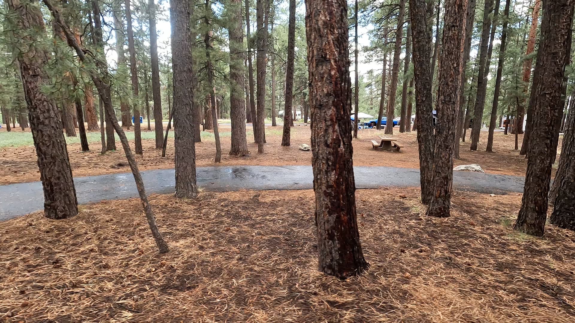 Site 68