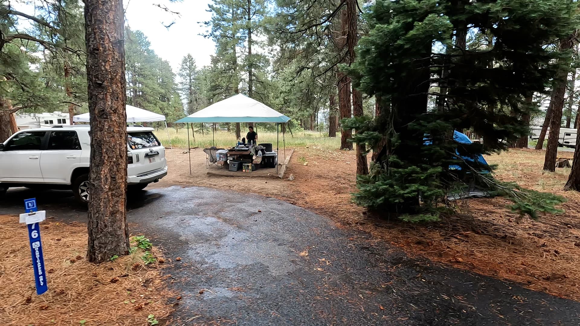 Site 76
