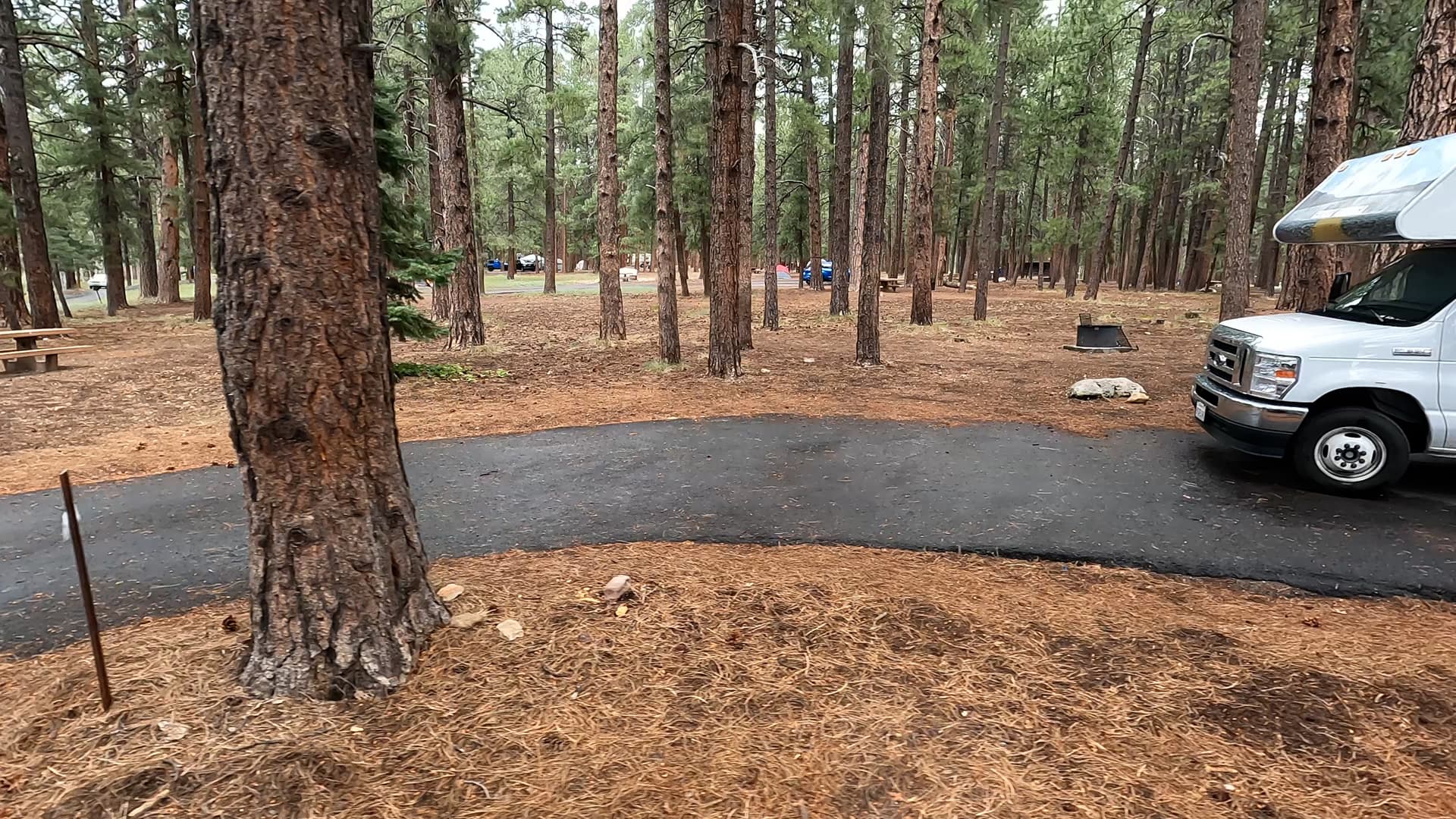 Site 75