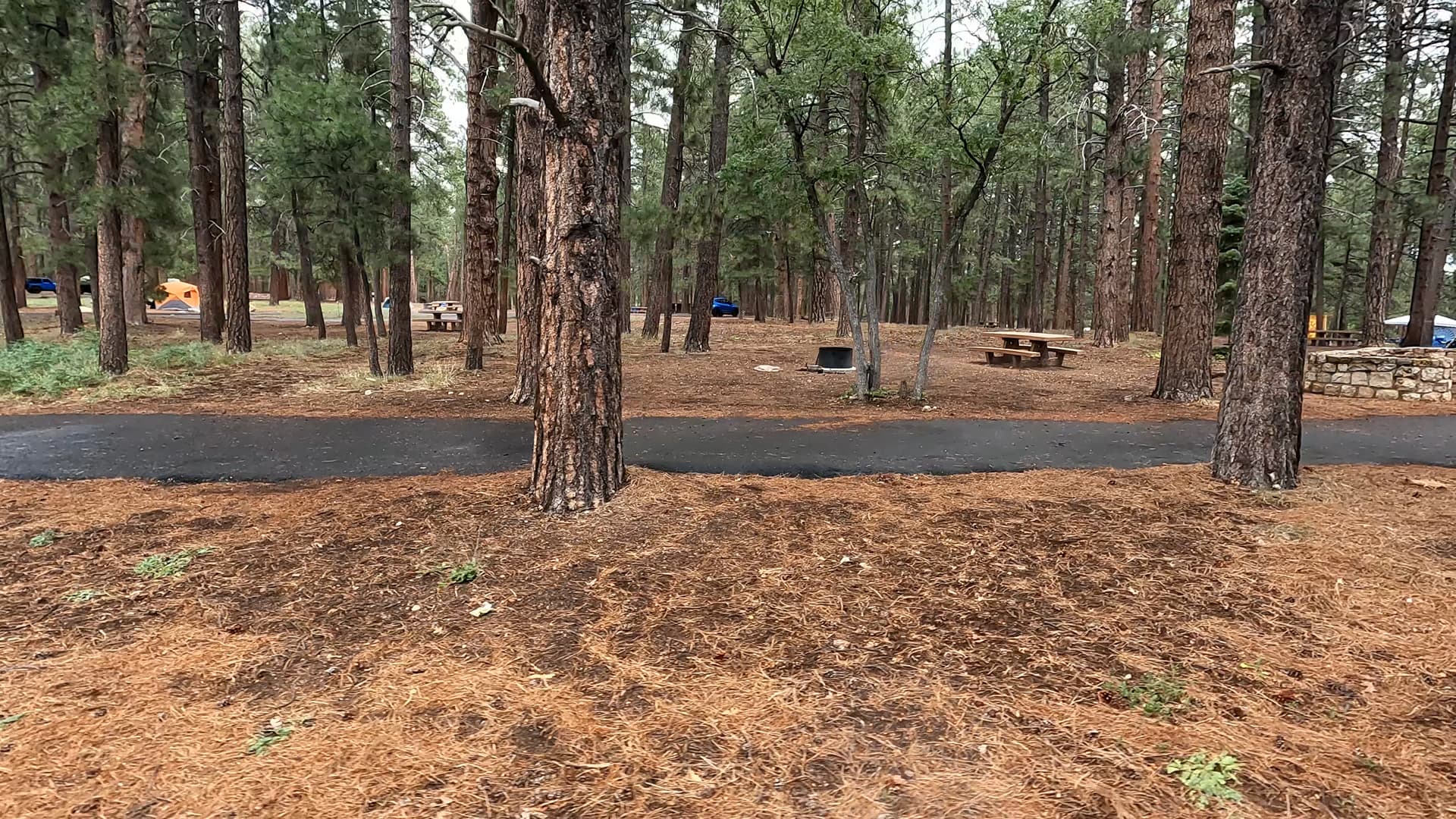Site 73