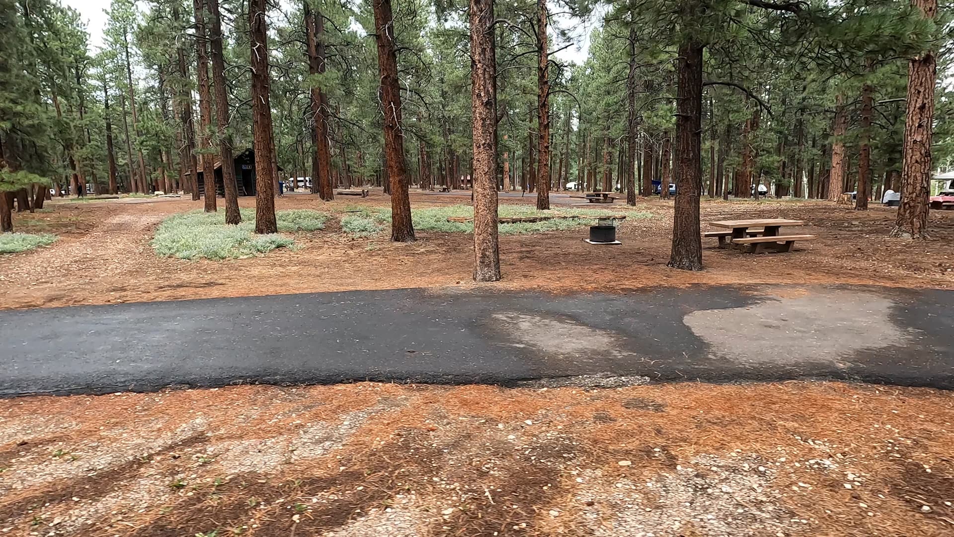 Site 71