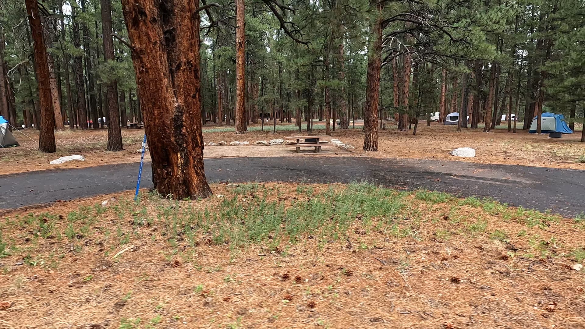 Site 78