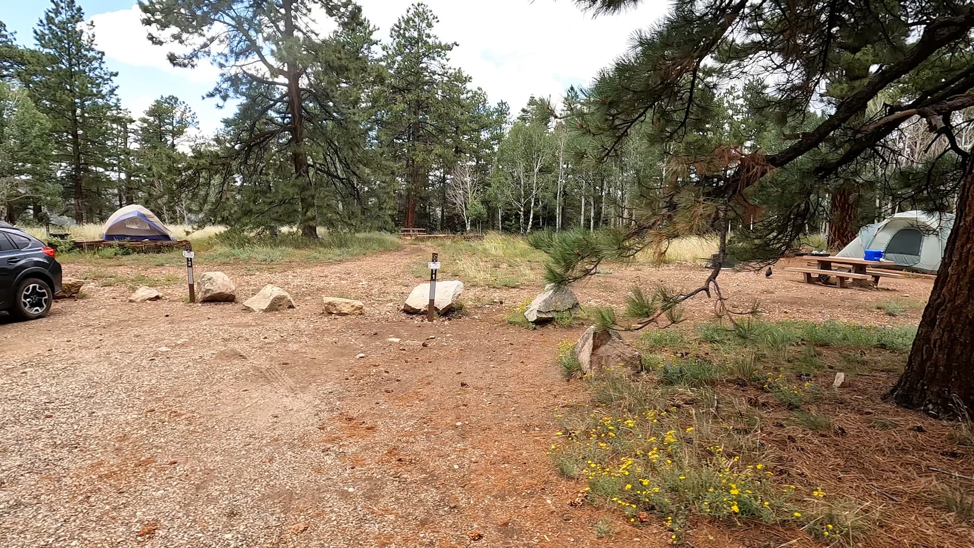 Site T2