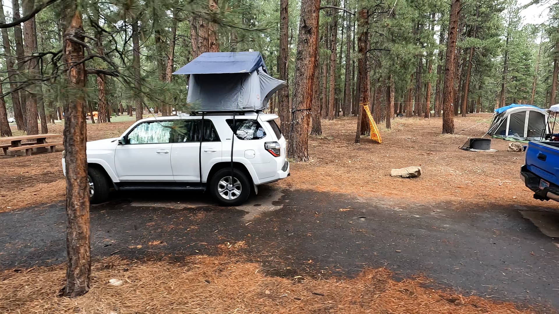 Site 77