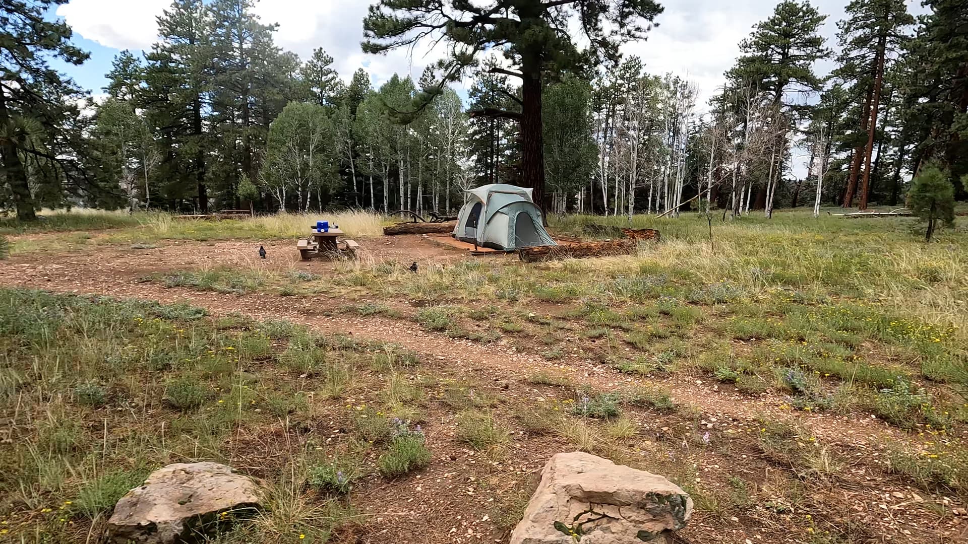 Site T1