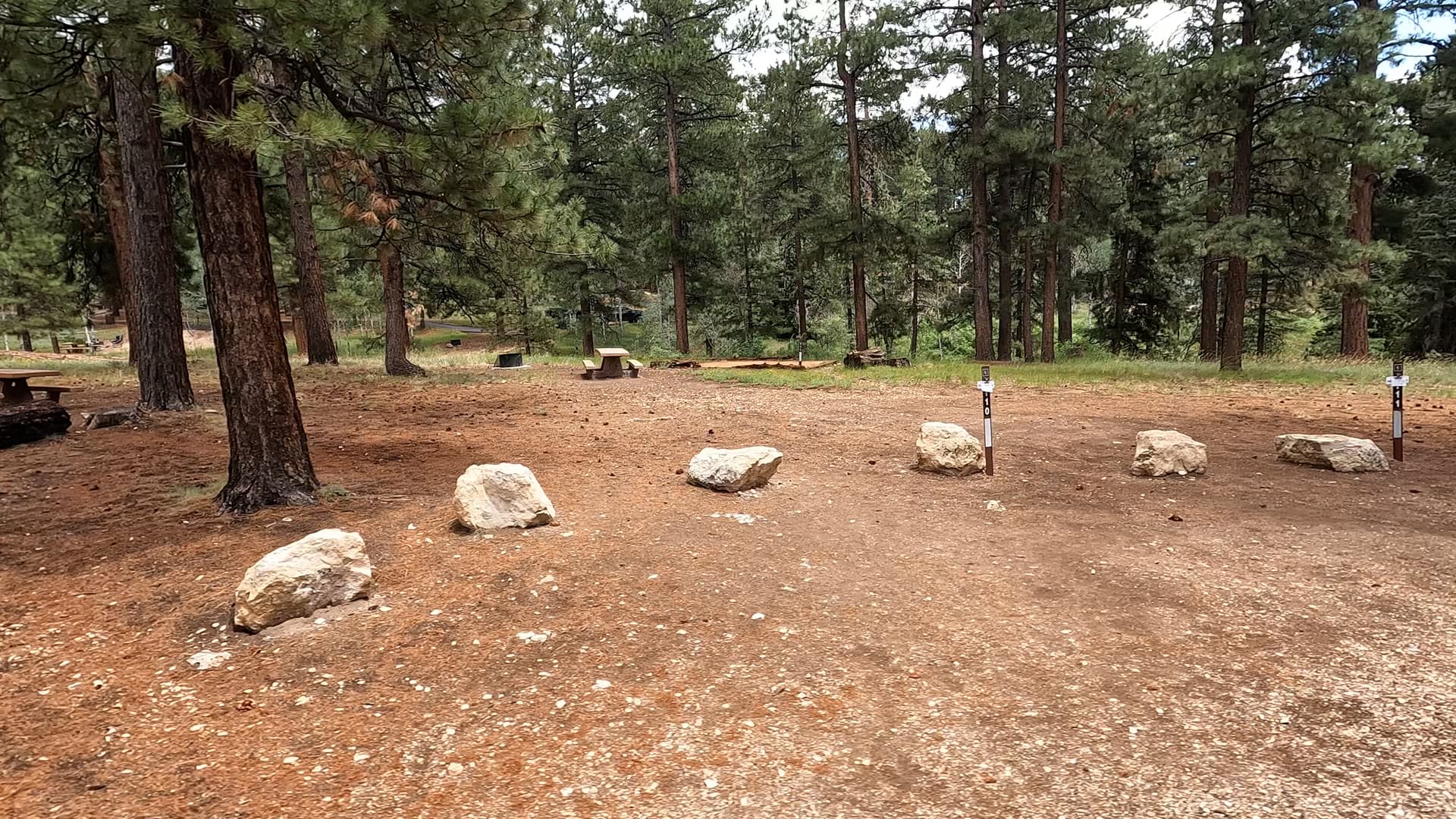 Site T11