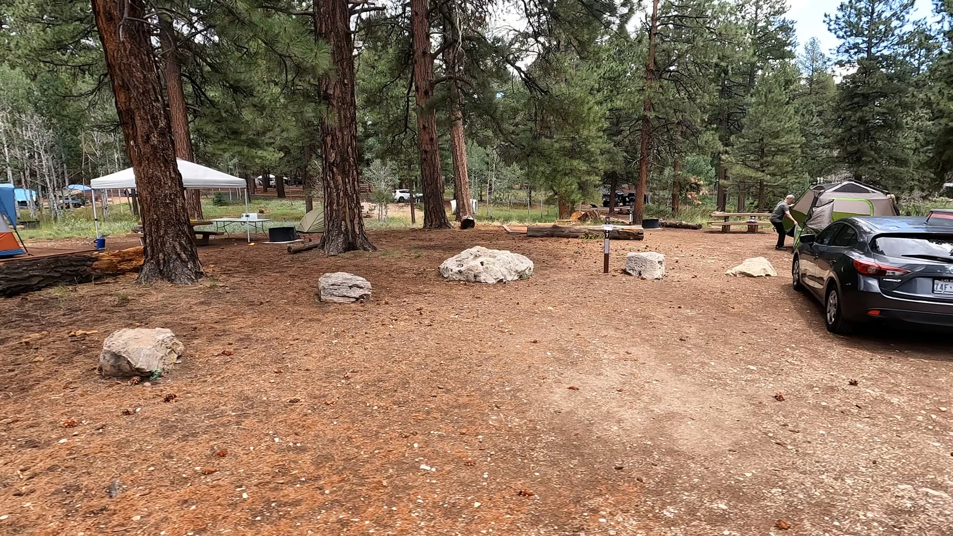 Site T8