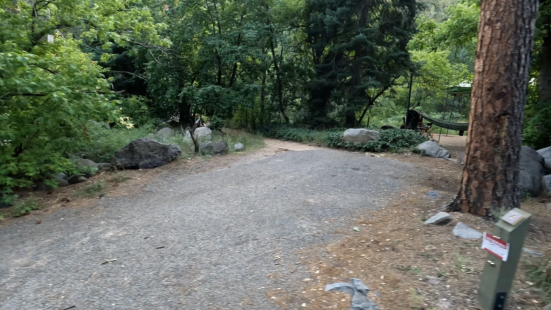 Site 4