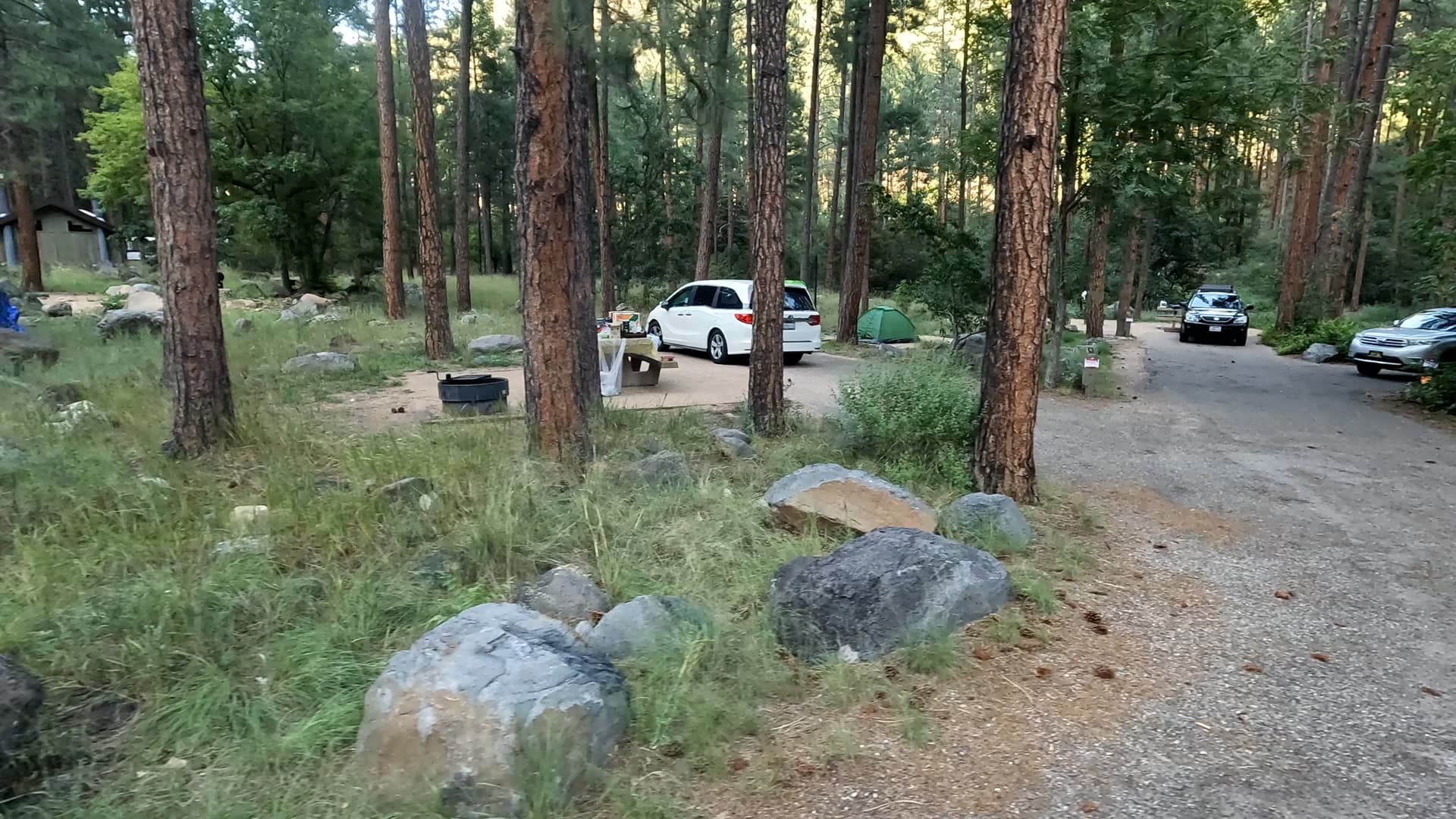 Site 9