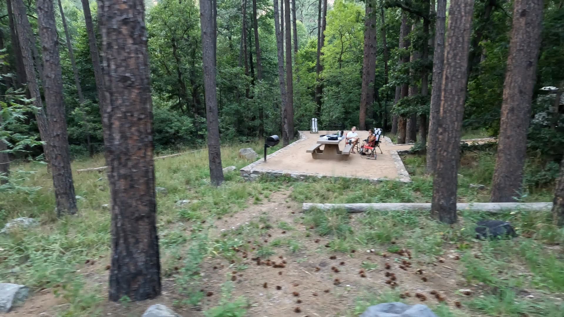 Site 19