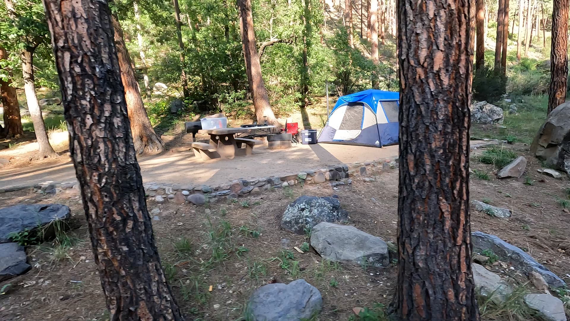 Site 40