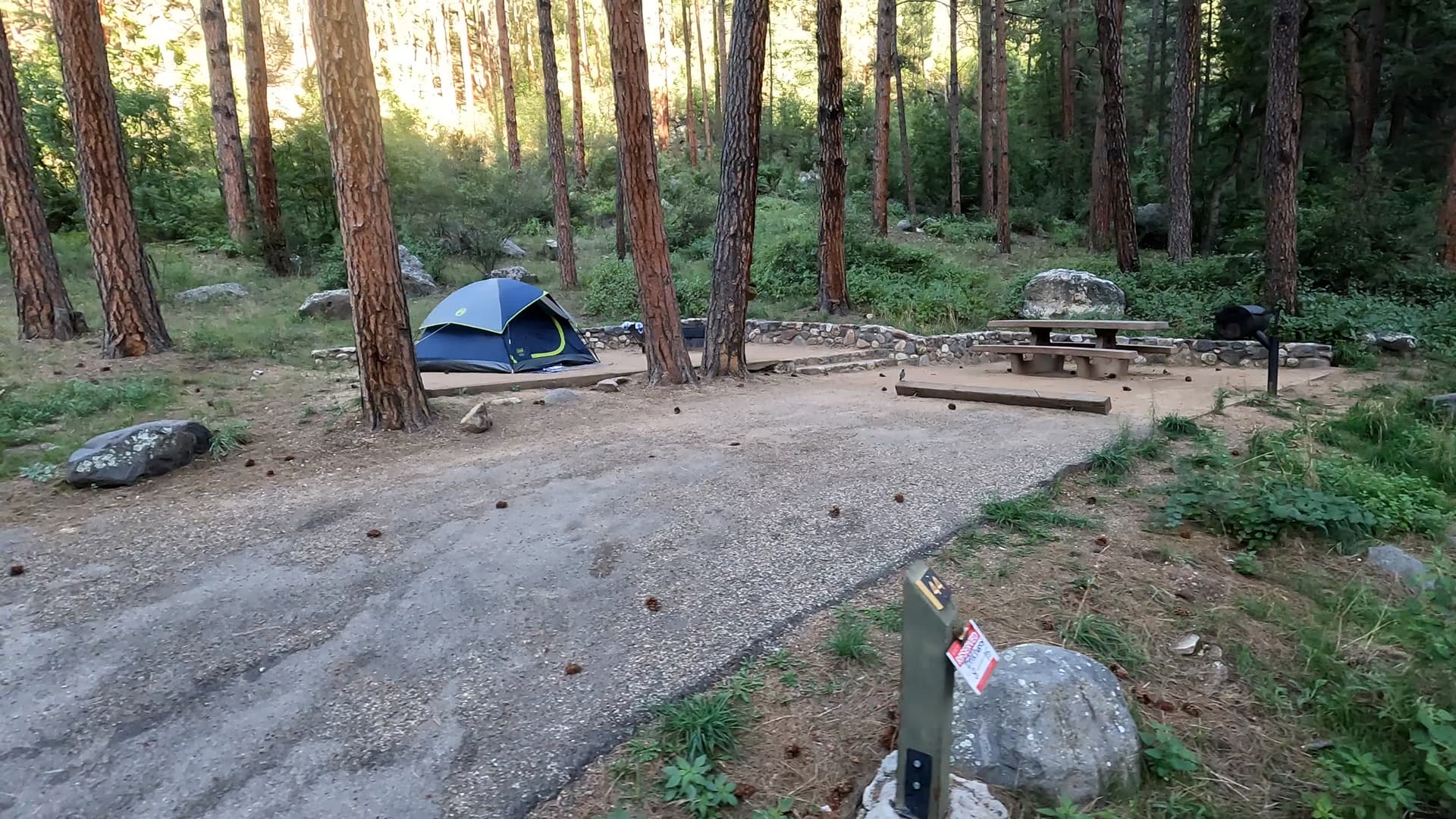 Site 44