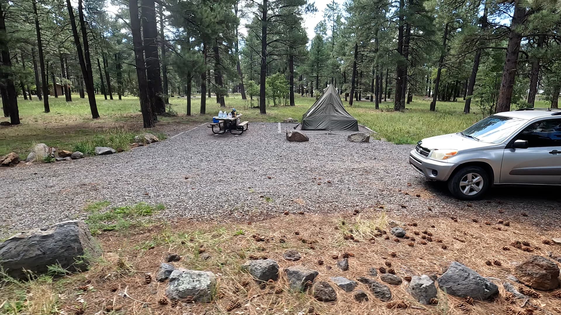 Site 7