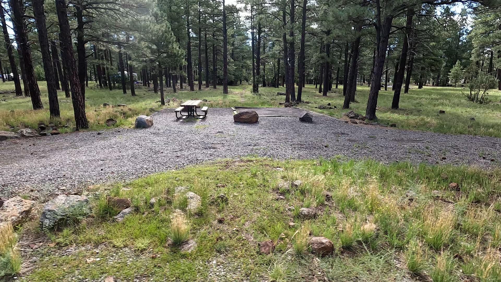 Site 8