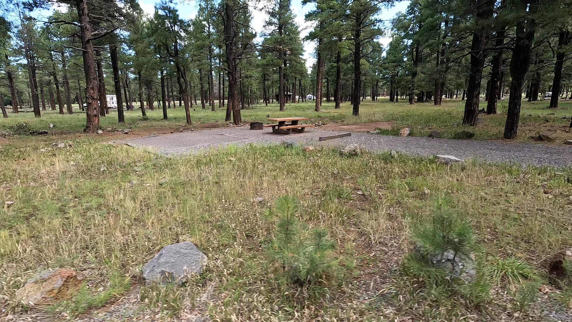 Site 2