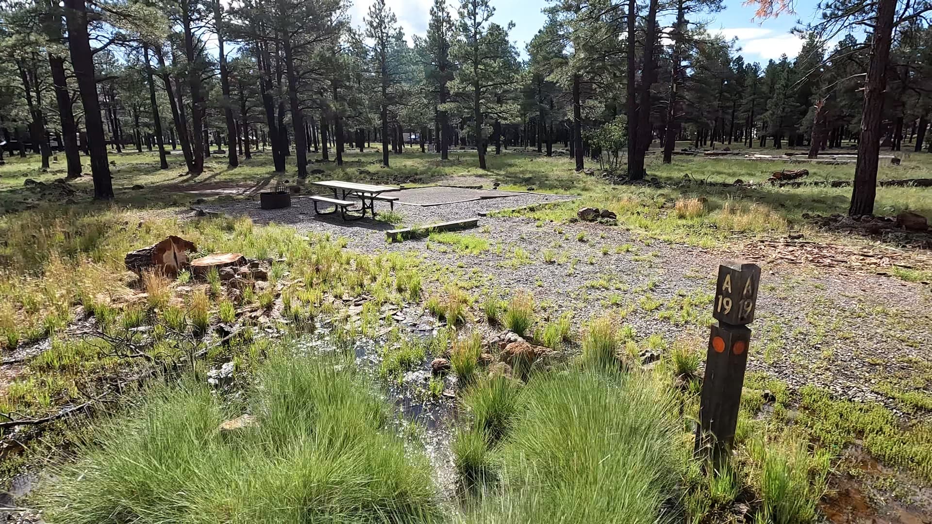 Site 19