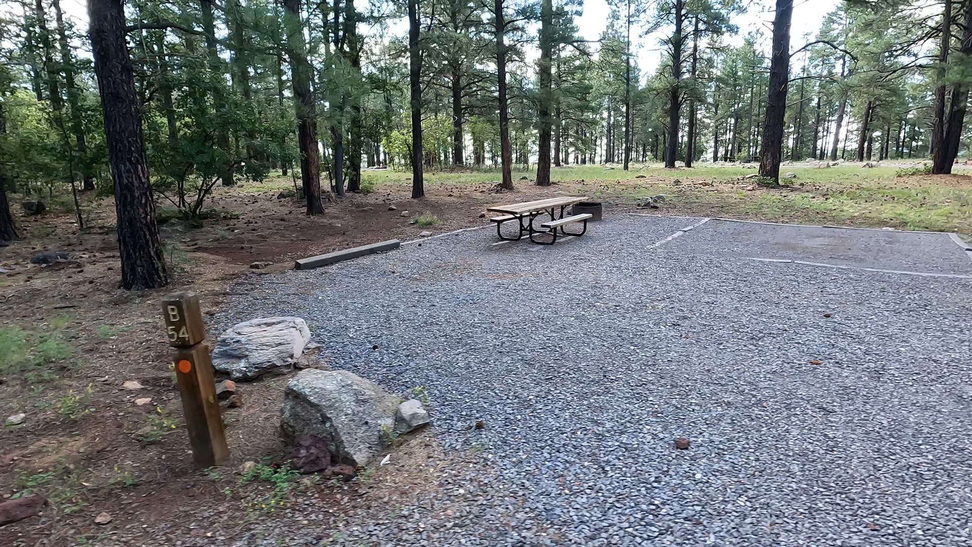 Site 54