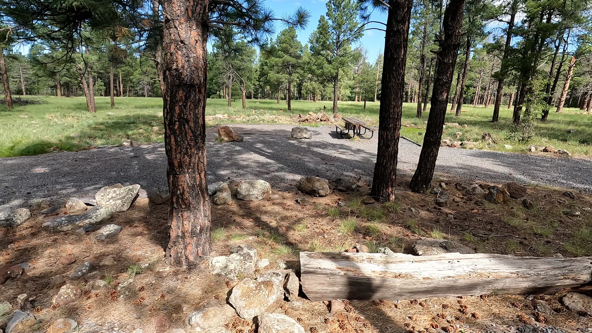 Site 24