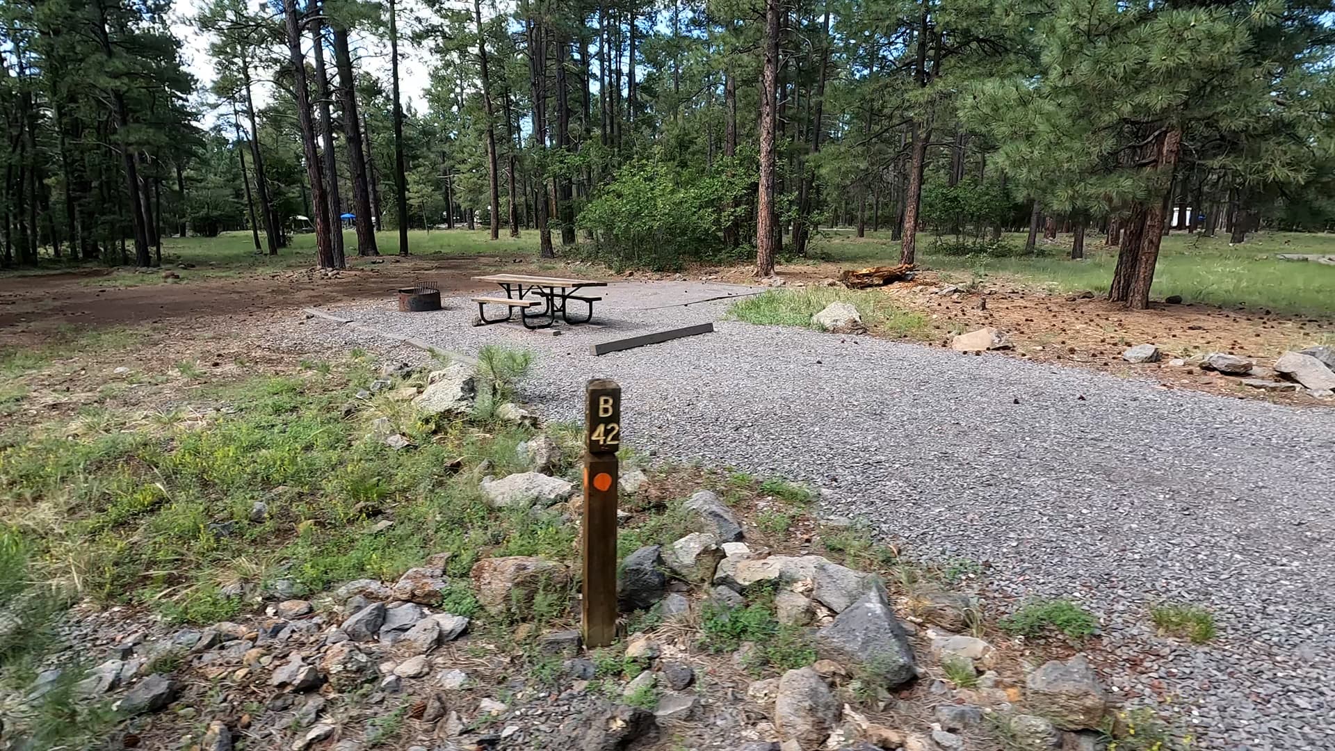 Site B42