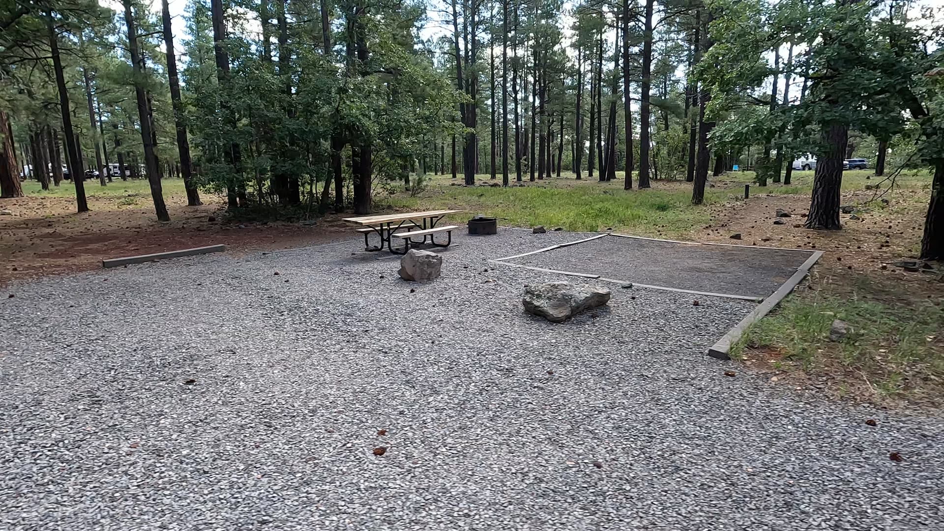 Site B49