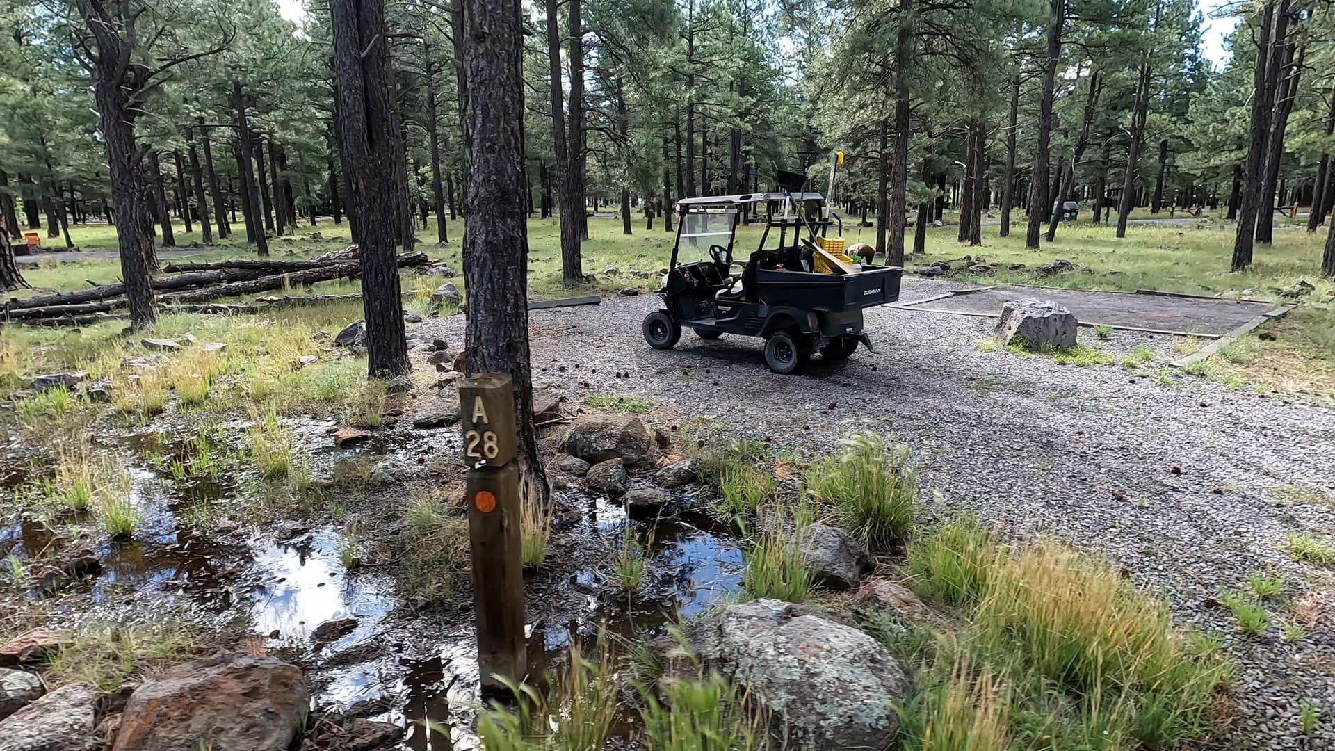 Site 28