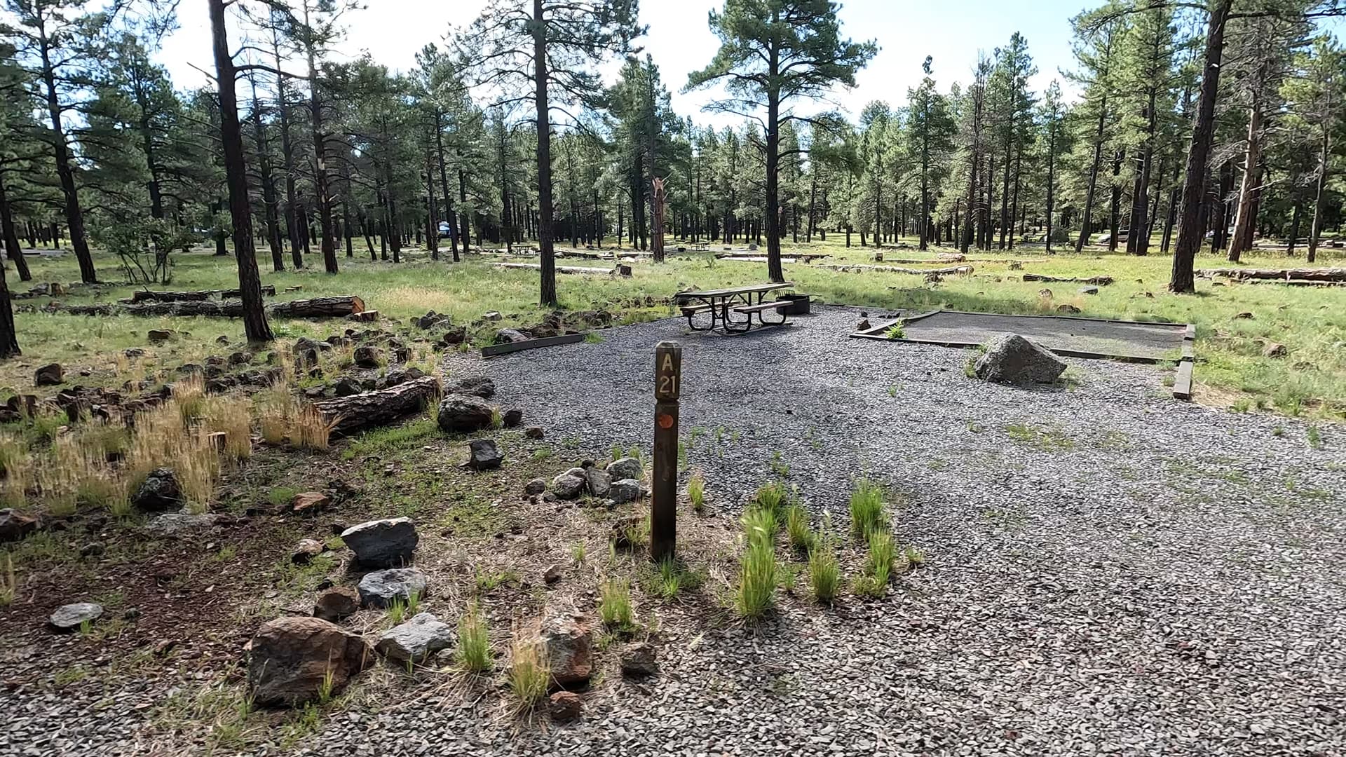Site 21