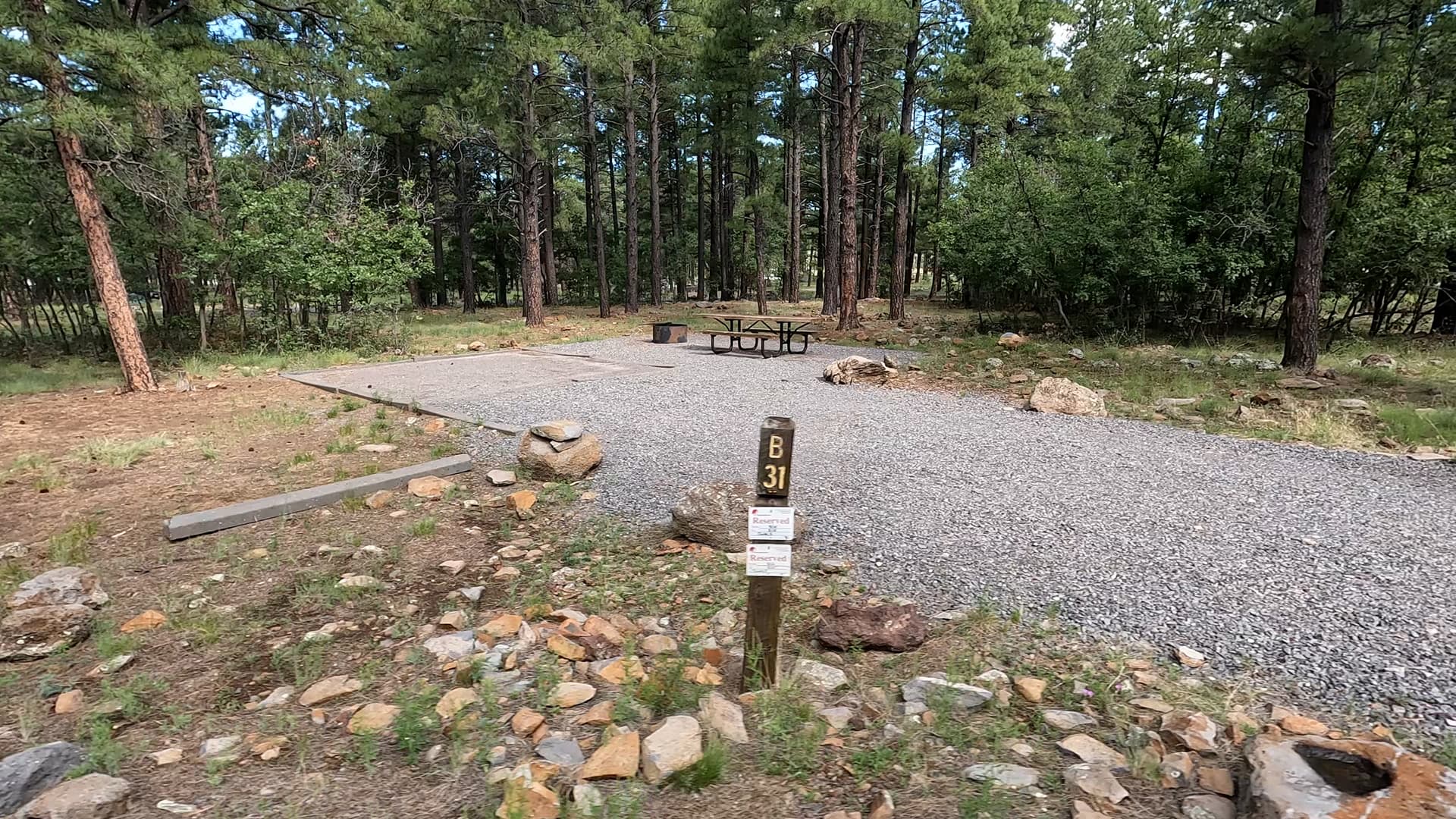 Site 31