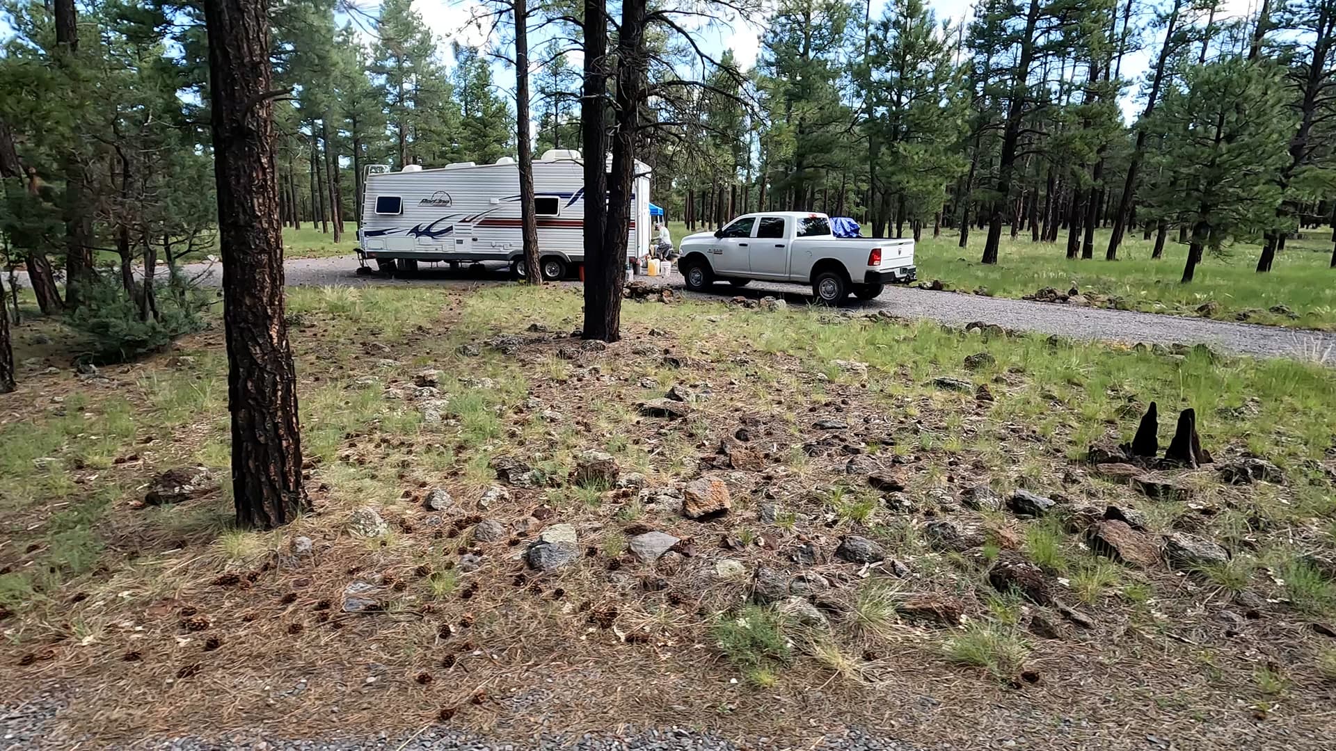 Site B43