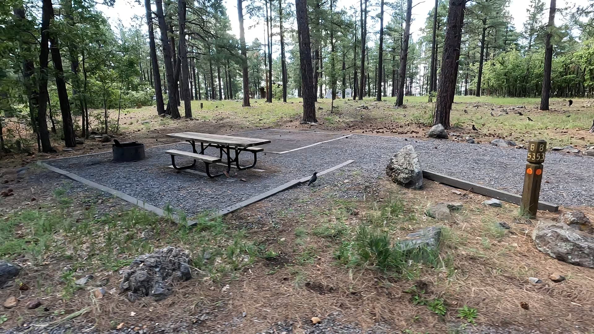 Site B53