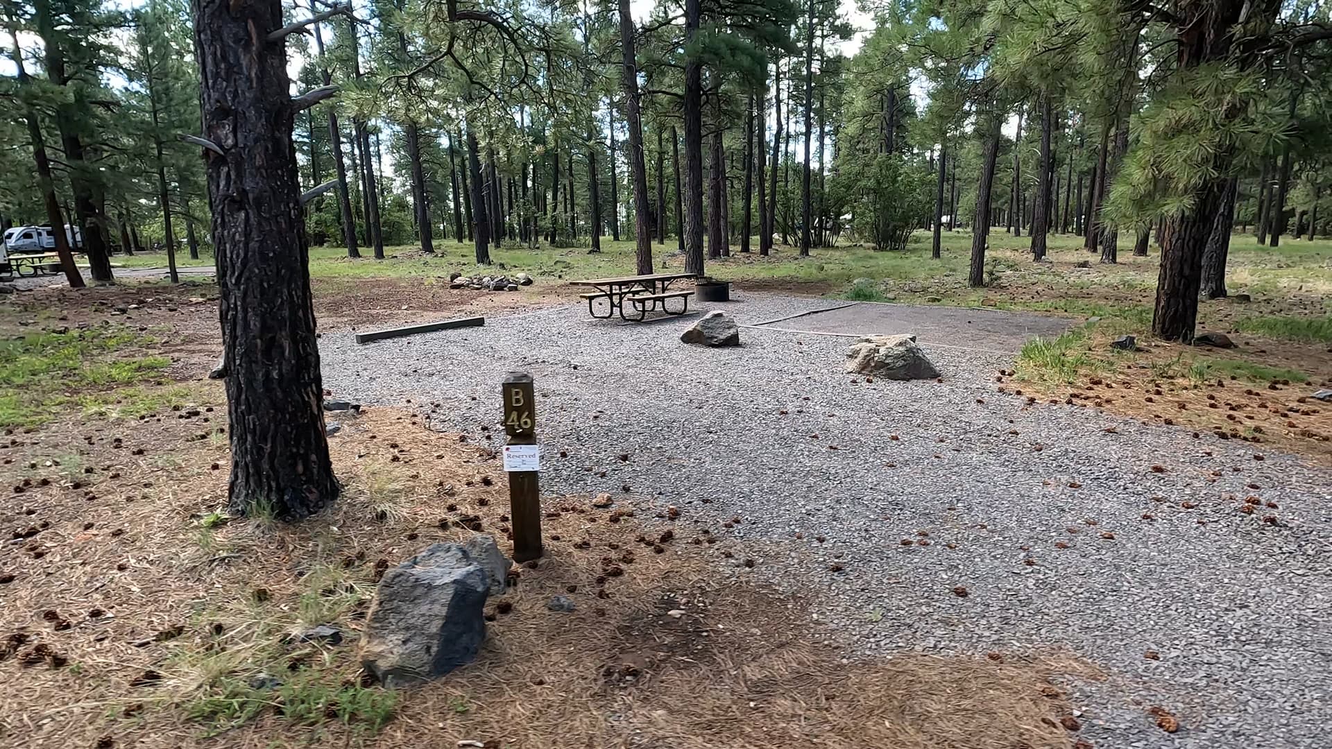 Site B46