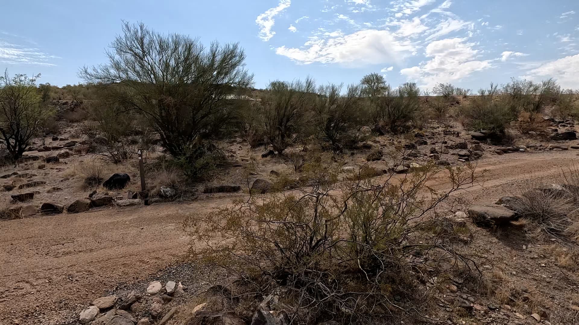 Site 4