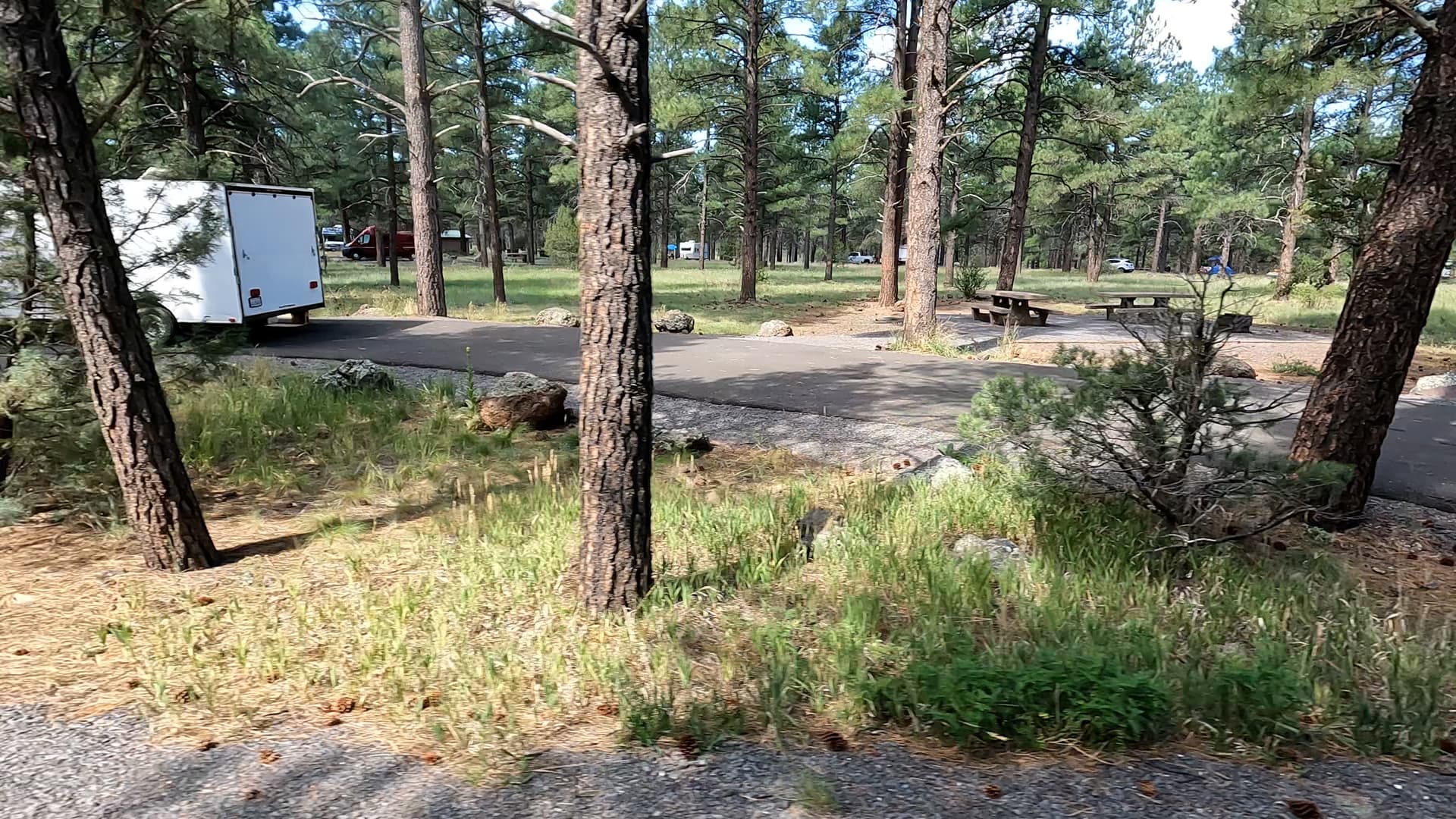 Site 13