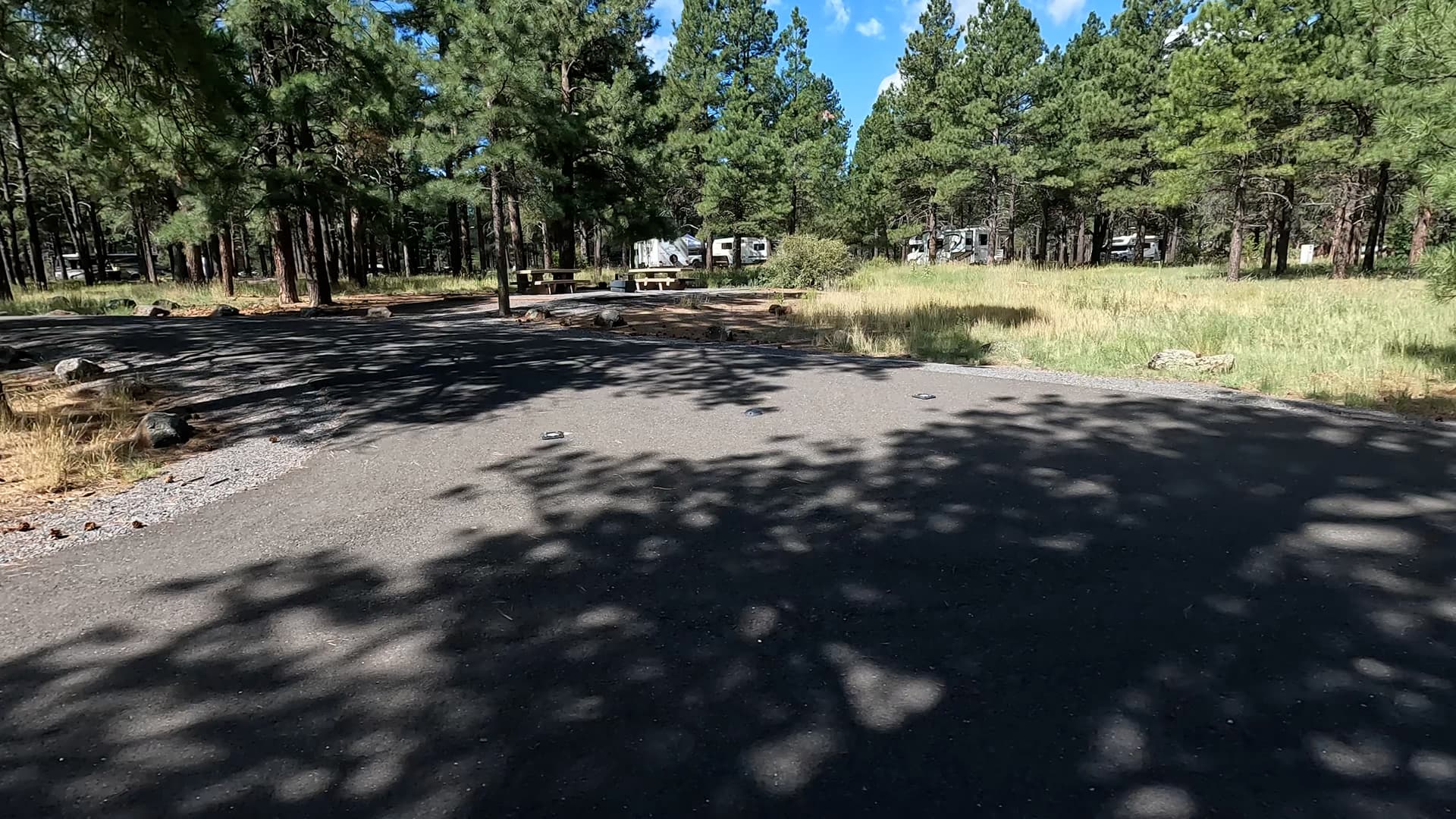 Site 7