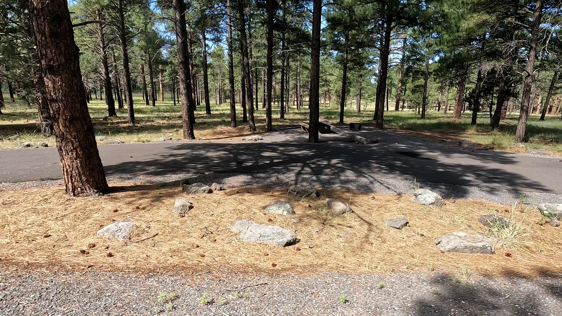 Site 18