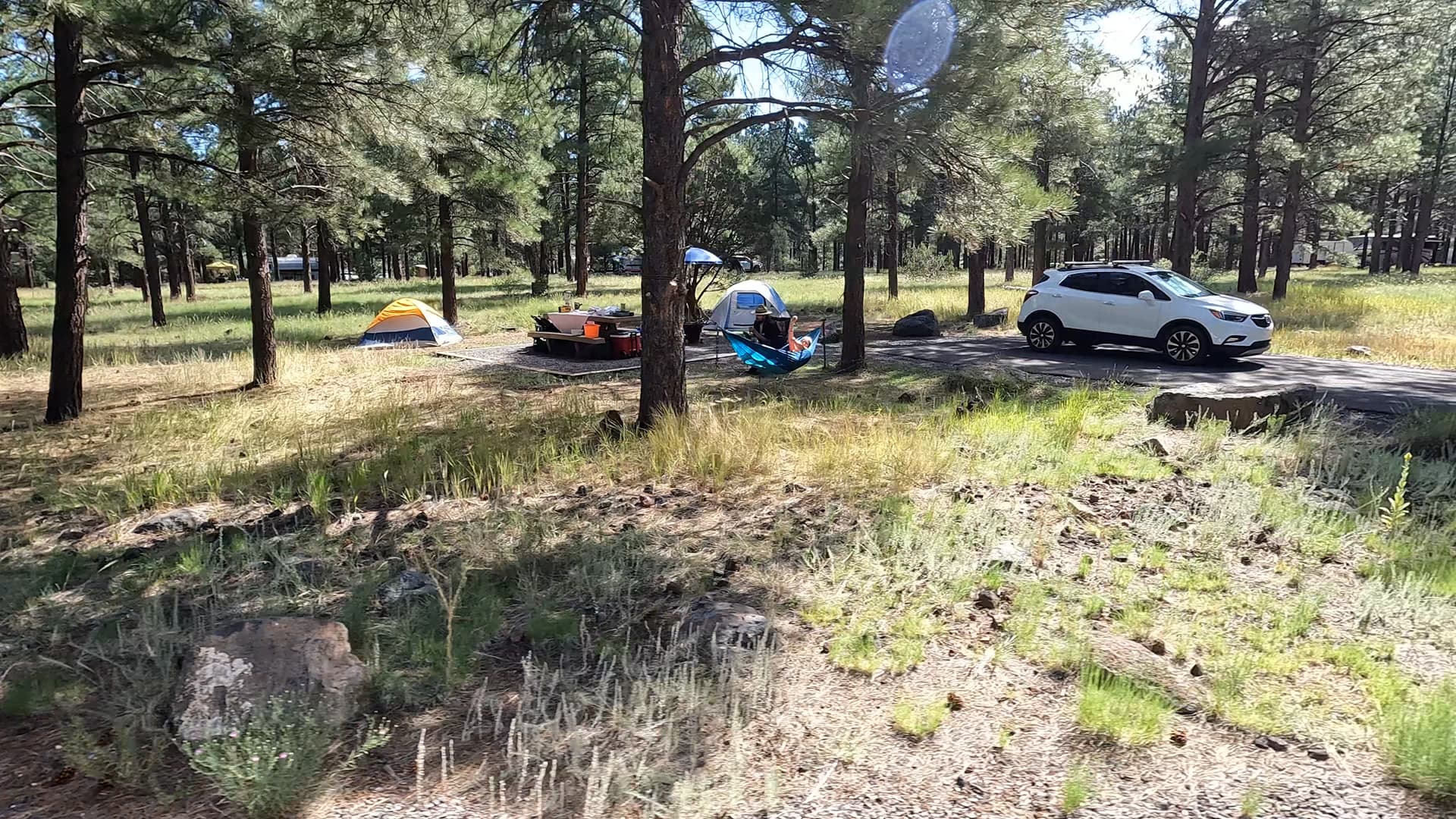 Site 20