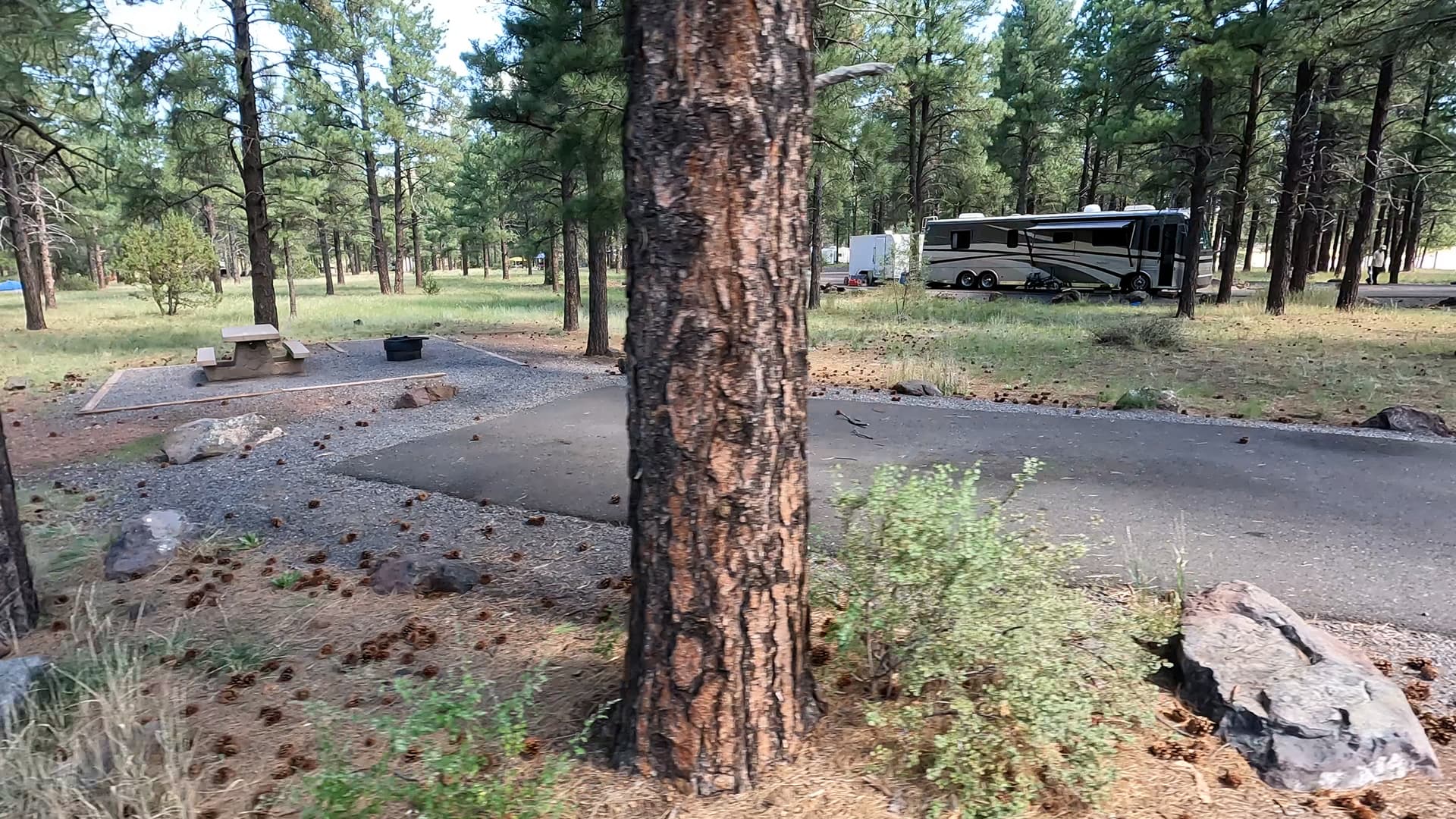 Site 25