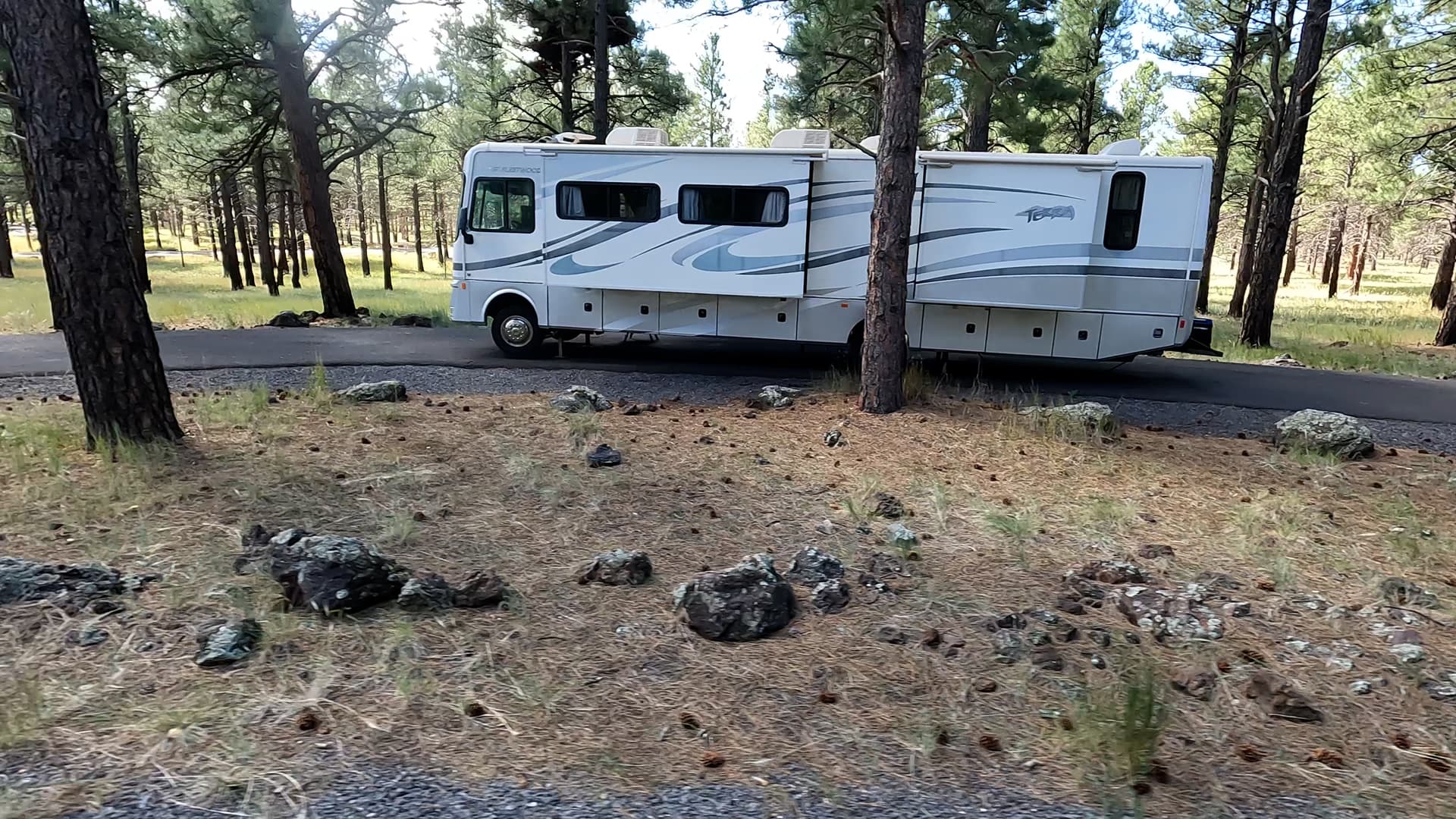 Site 29