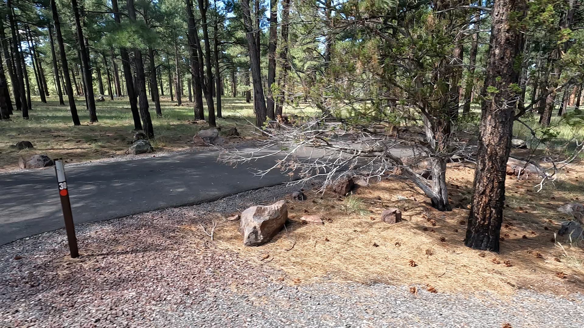 Site 30