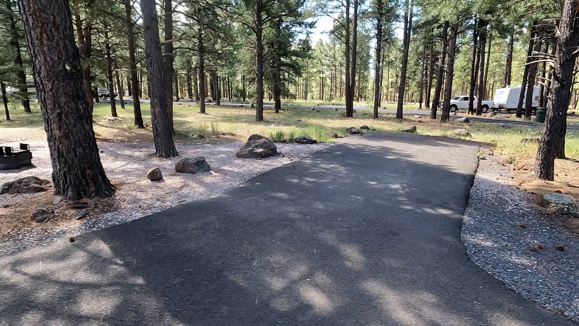 Site 31