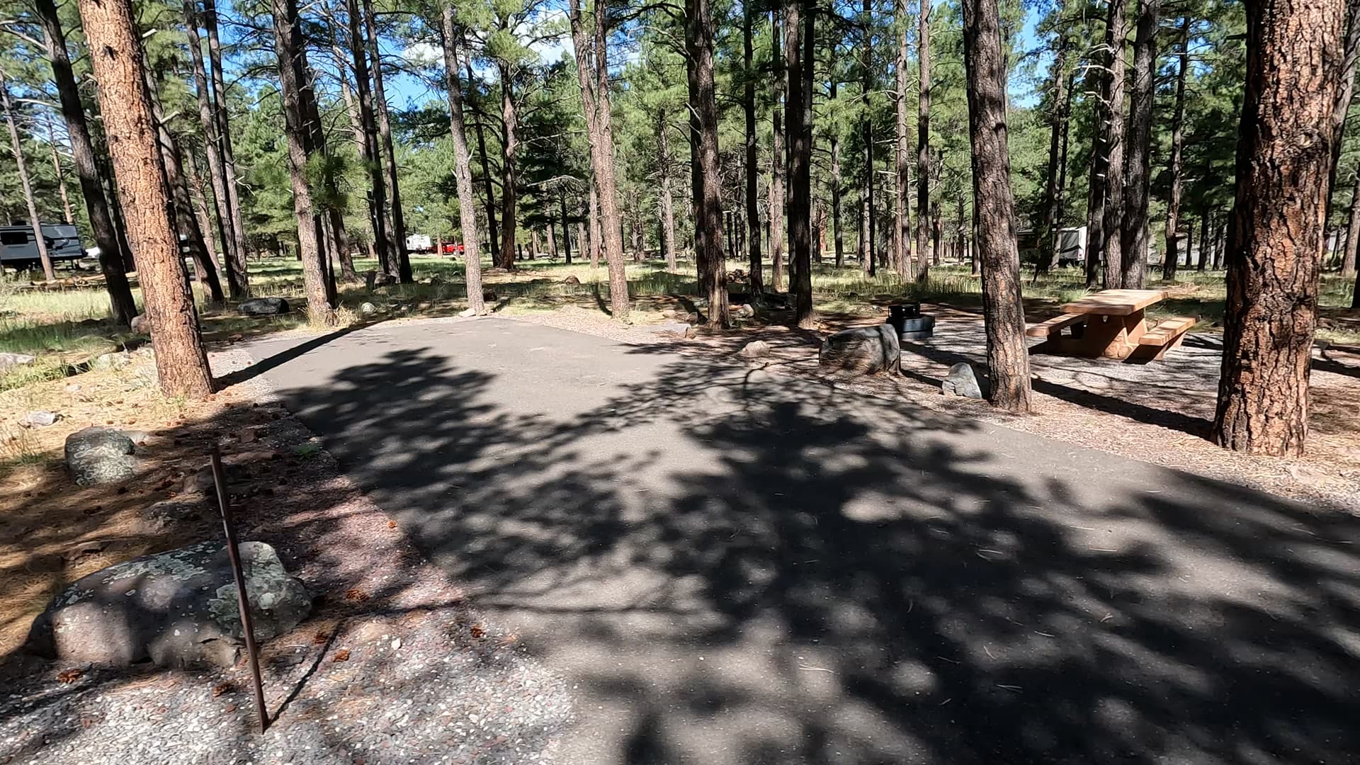 Site 40