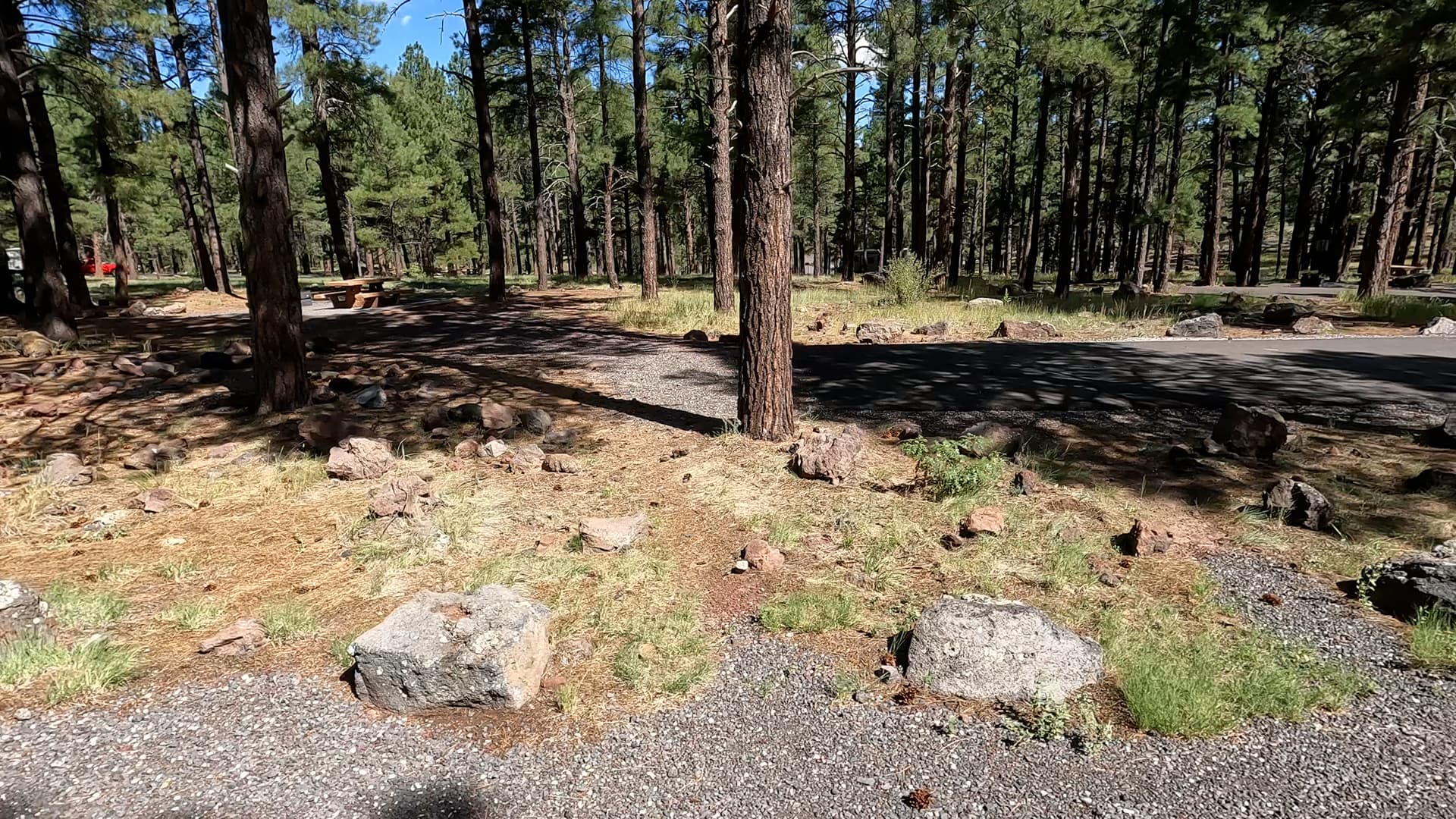 Site 38
