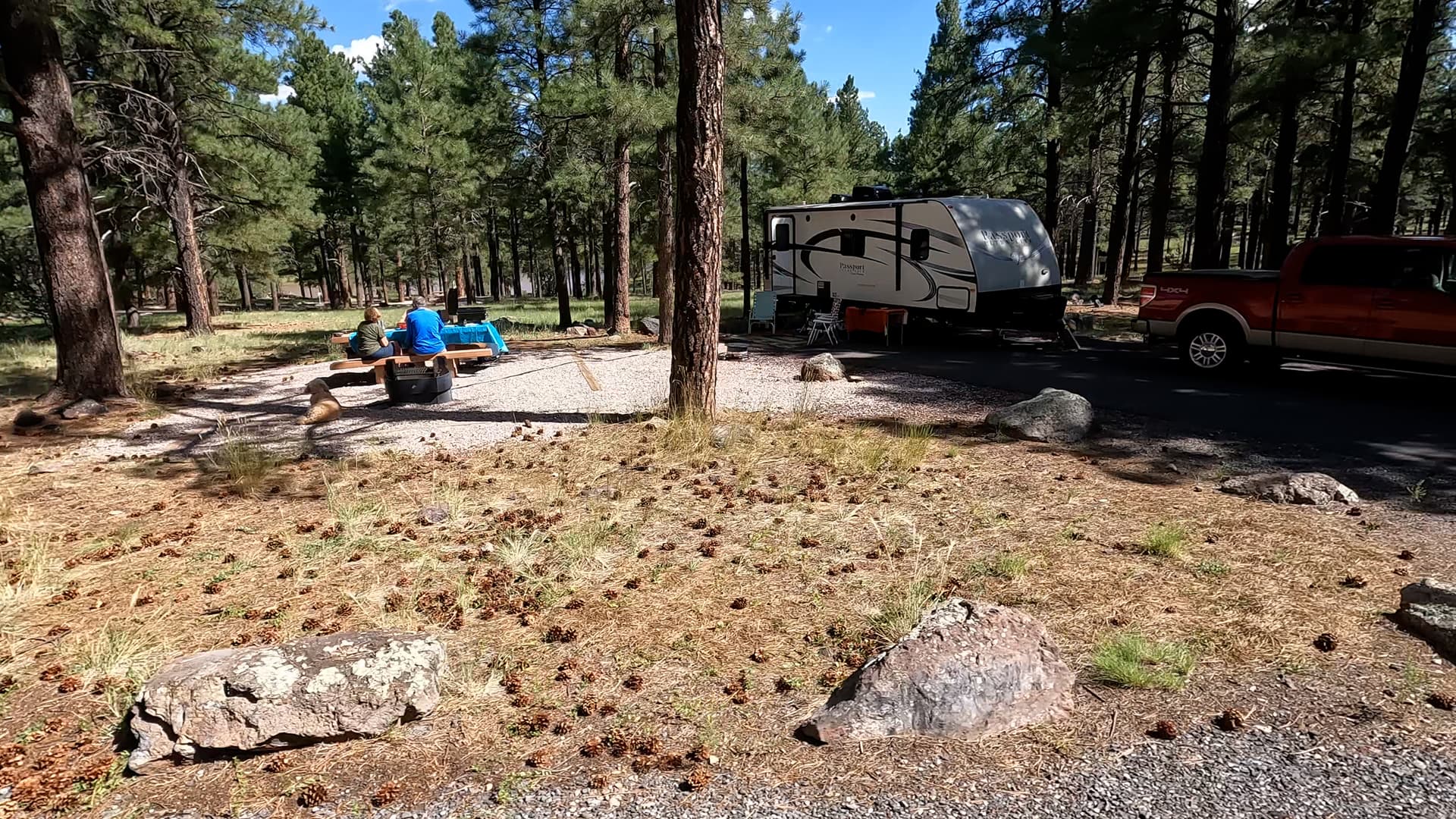 Site 36