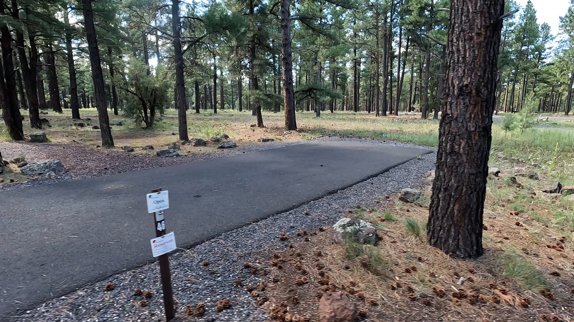 Site 46