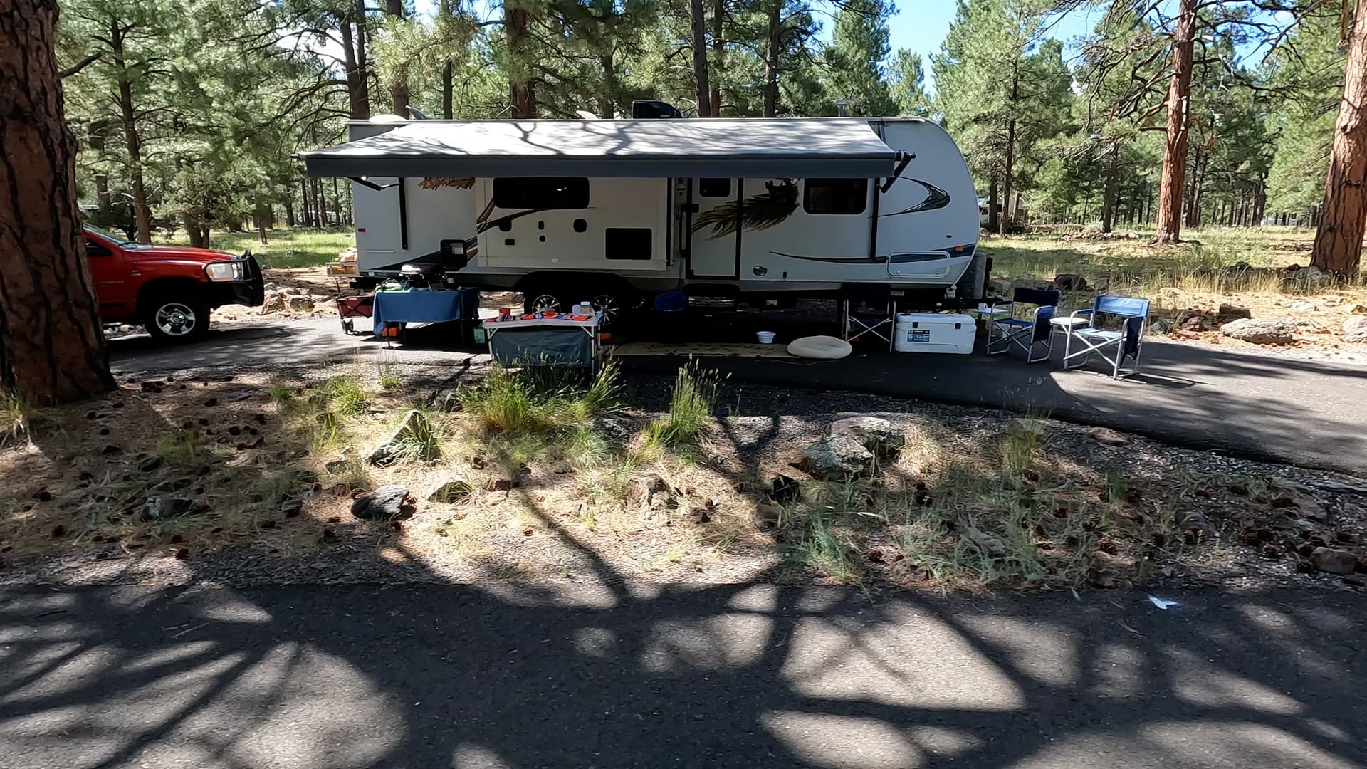 Site 44