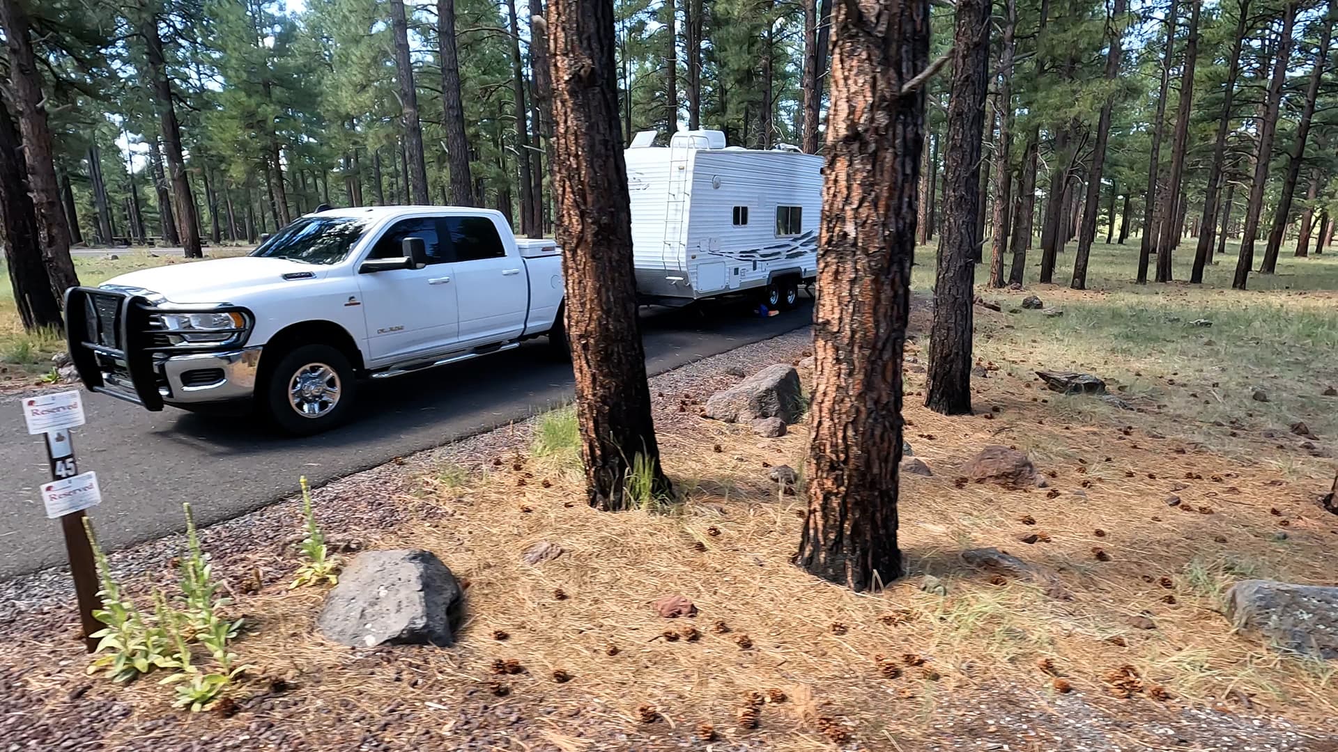 Site 45