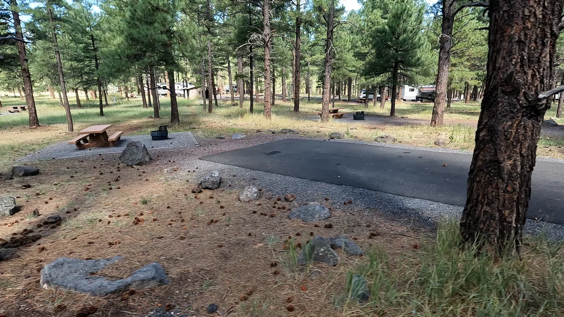 Site 55