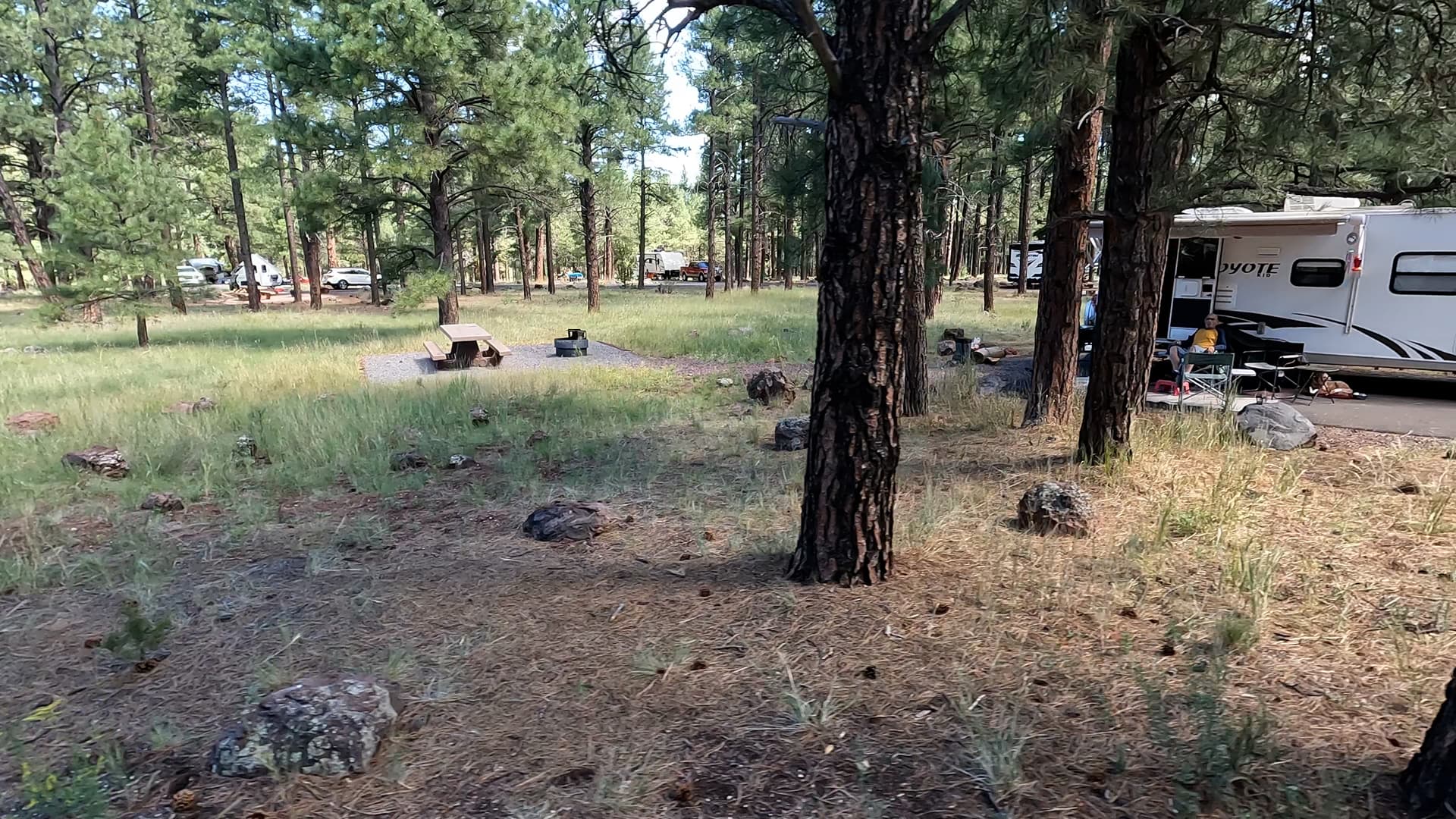 Site 49