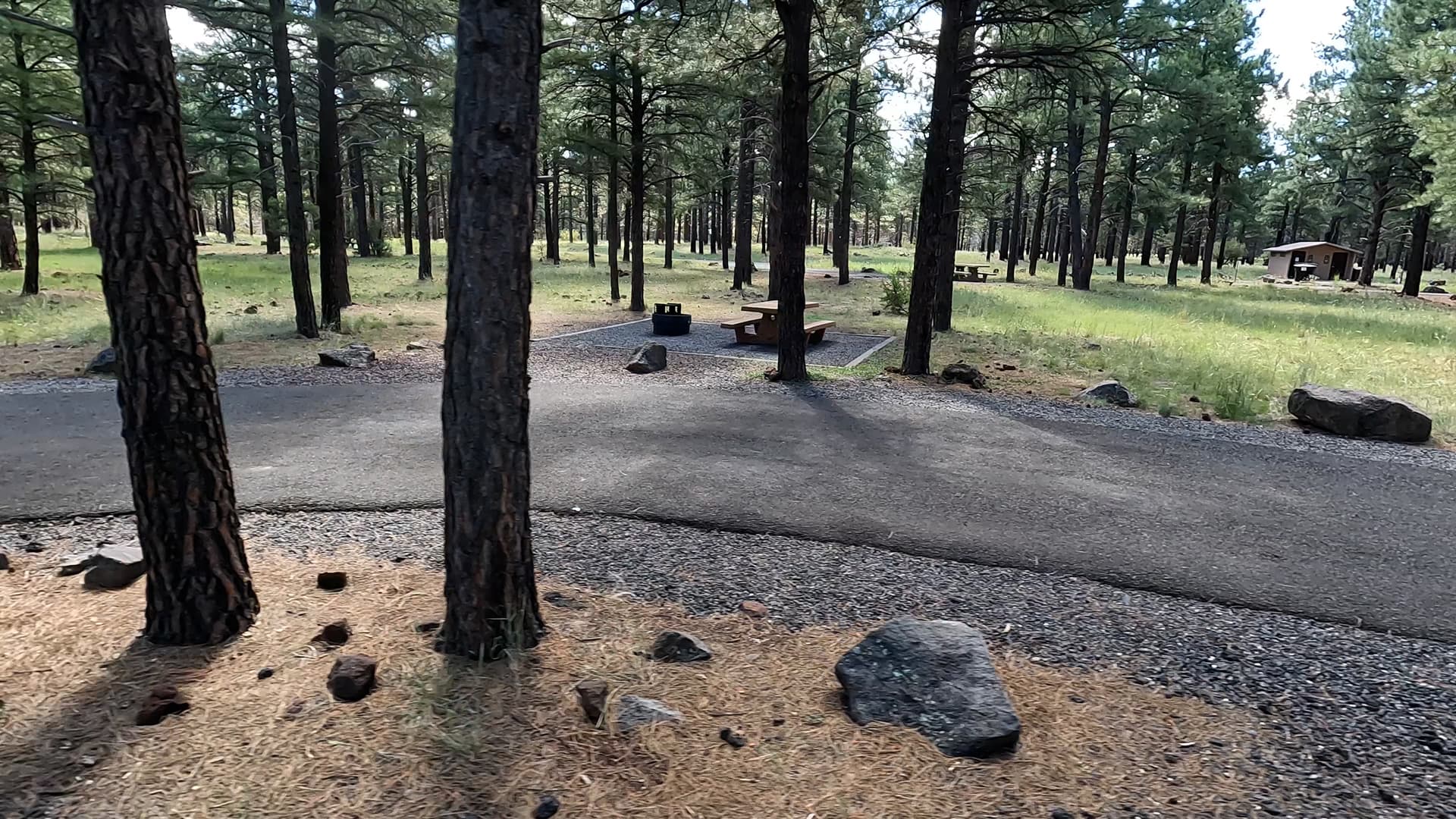 Site 54