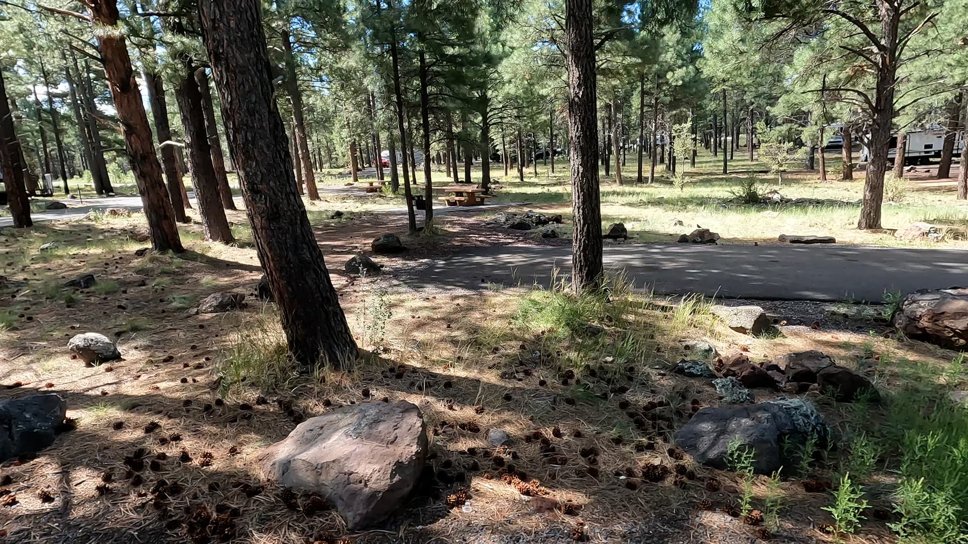 Site 61
